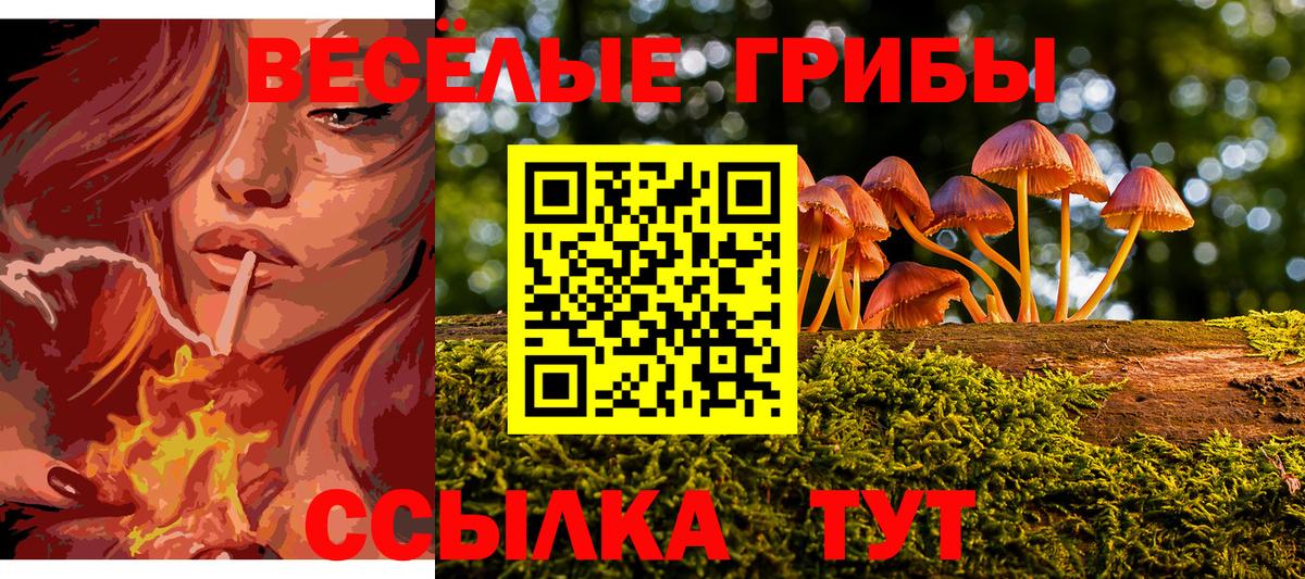 Галлюциногенные грибы мухоморы Кушва