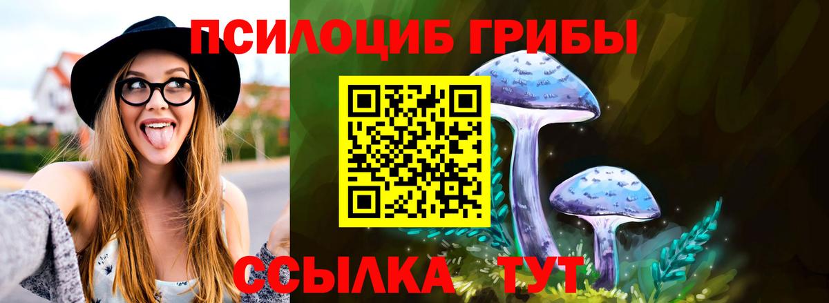 Кушва  Галлюциногенные грибы Cubensis  Вход с VPN 